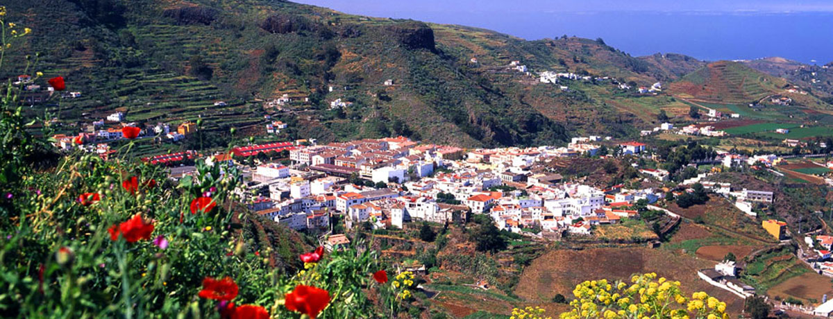 BANDAMA, CUMBRES Y ROQUE NUBLO