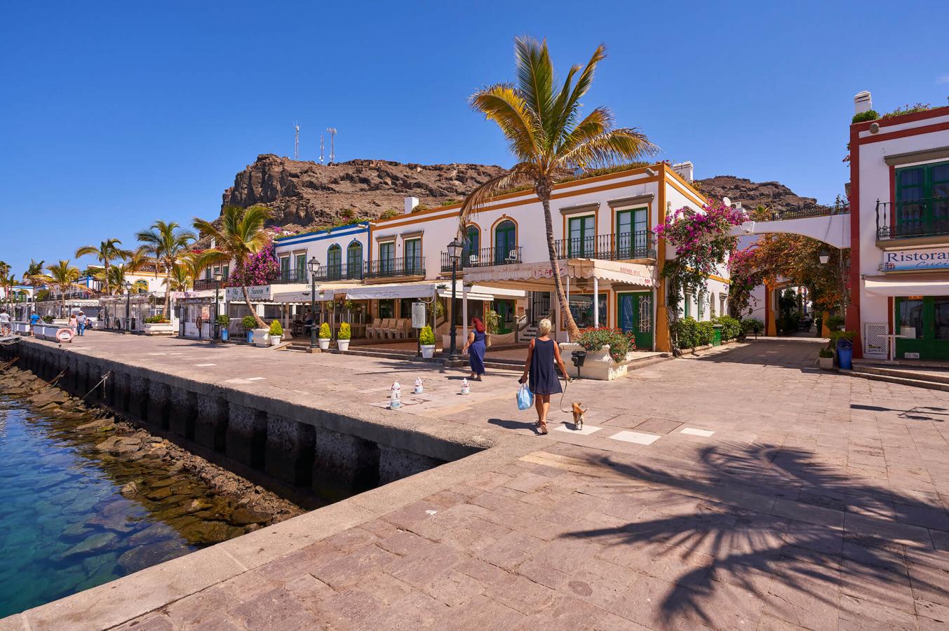 Multiacuatic: Ver Delfines y Visitar el Mercadillo Mogán - 5 horas