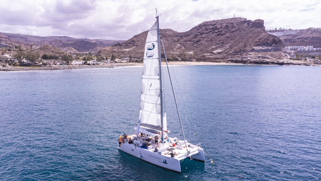 Catamarán Stingray: Excursión barco Gran Canaria