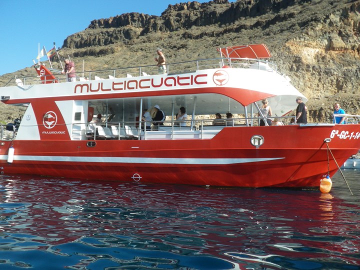 Multiacuatic: Avistamiento cetáceos + baño en bahía - 3 horas