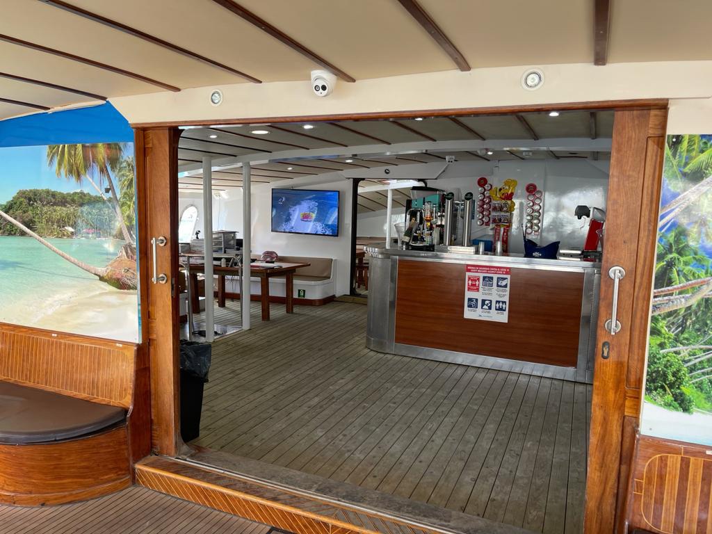Catamarán Supercat: avistamiento delfines Gran Canaria - 4 horas