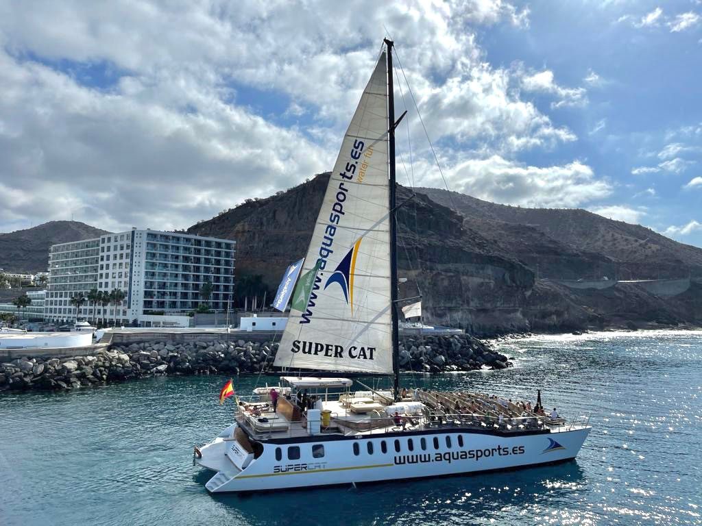 Catamarán Supercat: avistamiento delfines Gran Canaria - 4 horas